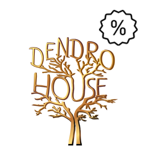 Dendro House Image