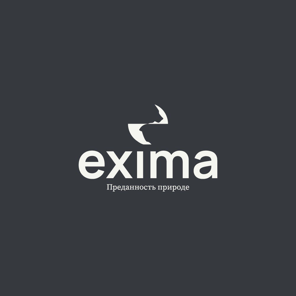 EXIMA строительная компания Image