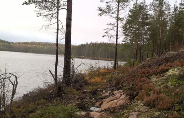 Земельный участок на озере под строительство коттеджа, Финляндия